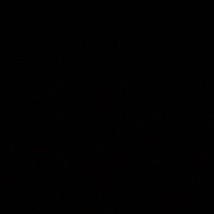 Meet your Posher, Shari